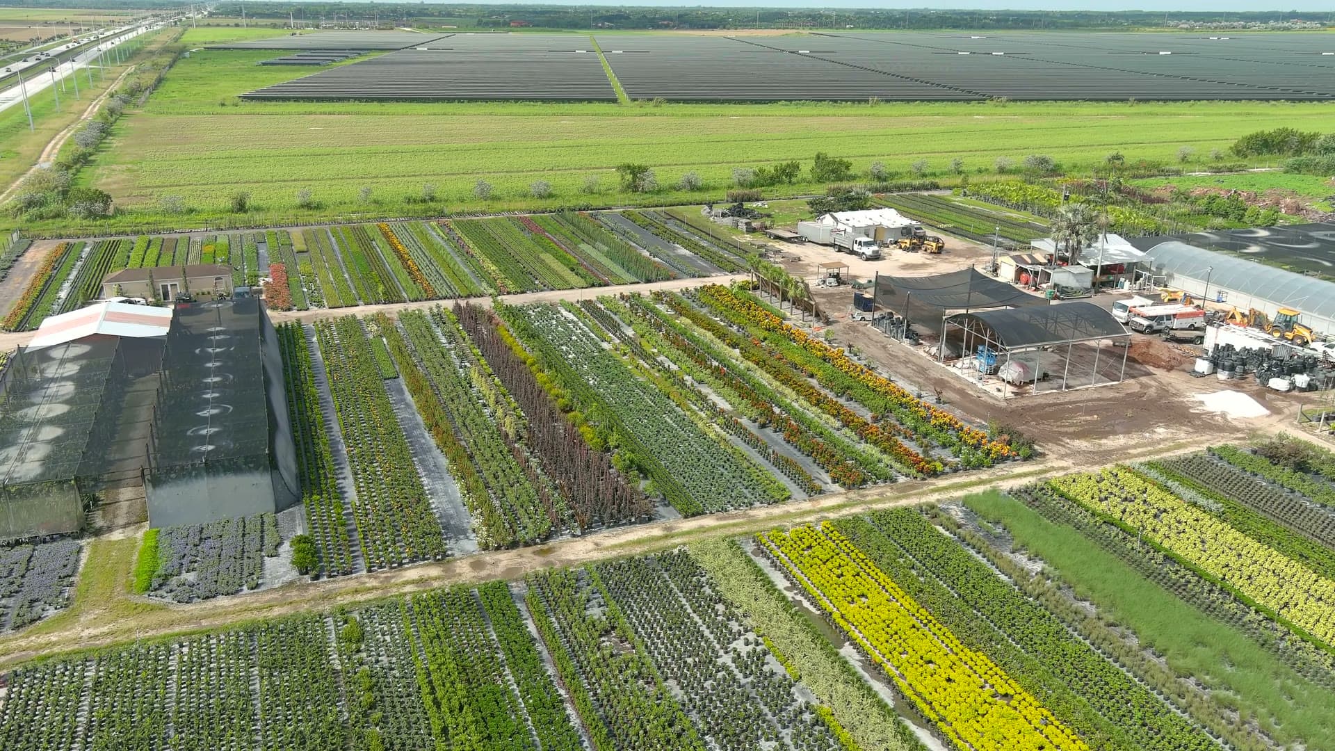 Aerial view over the growing rows at RDM's 15-acre wholesale nursery in Miami