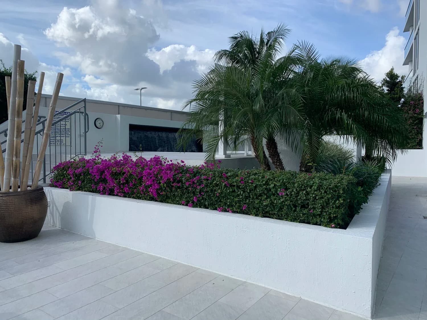 A finished RDM install — flowering hedge and palms on a South Florida rooftop