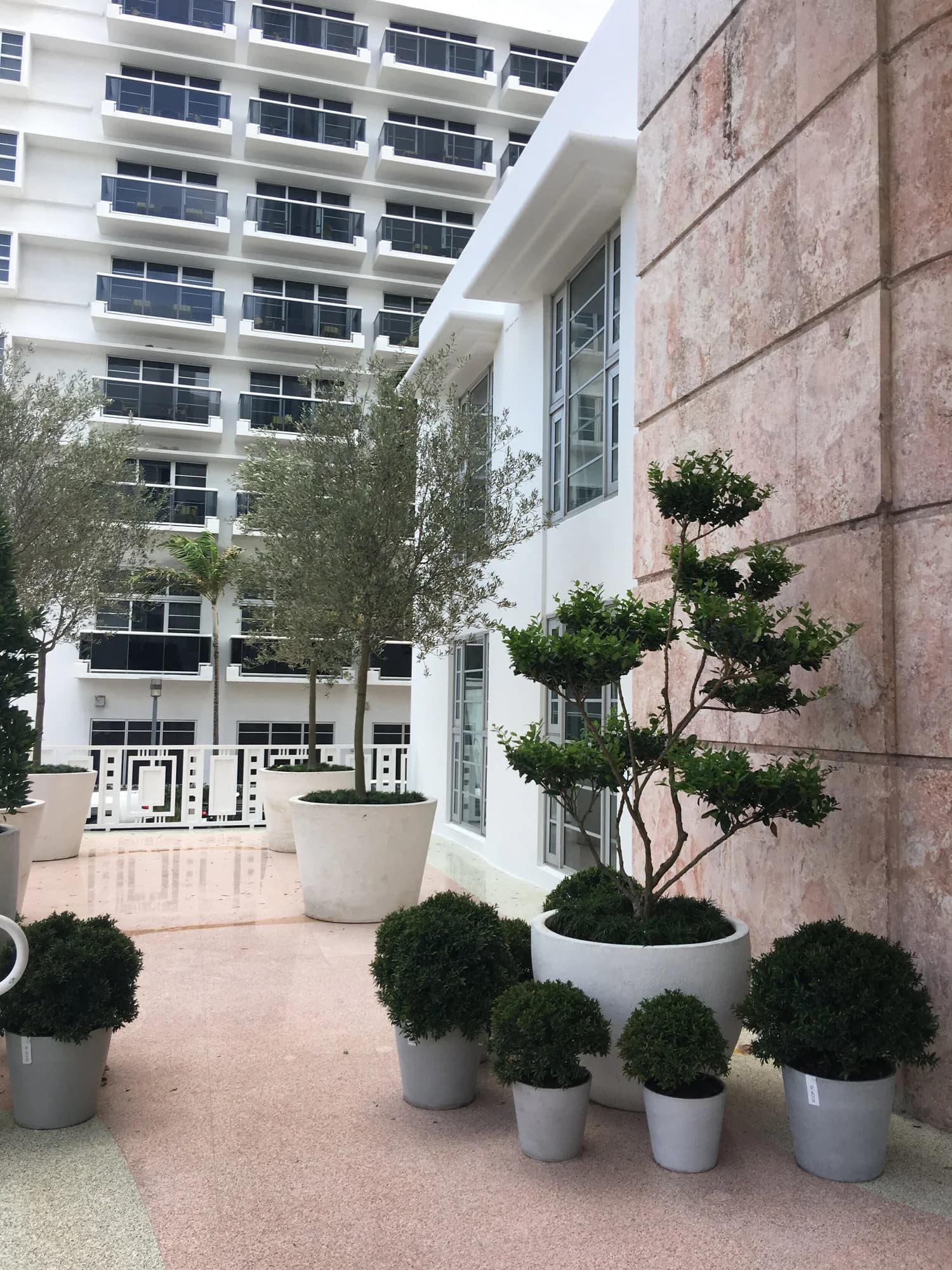 RDM landscape architecture install — sculpted plantings at a high-rise entry