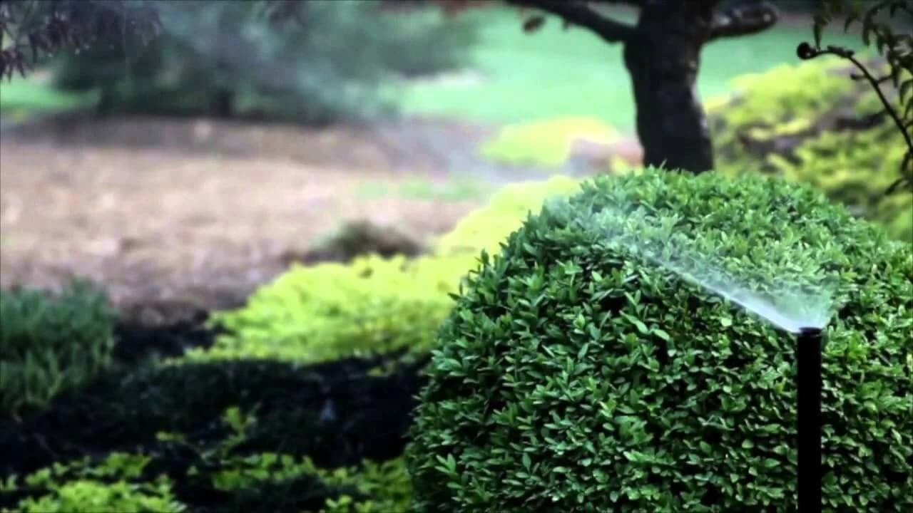 Irrigation system watering a manicured hedge